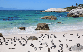 South Africa
